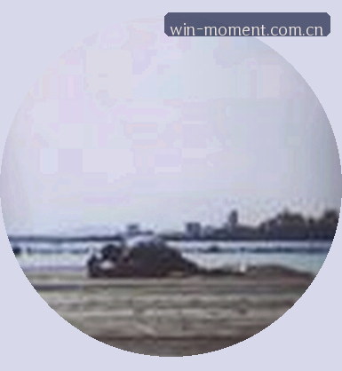 王雷